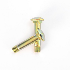 Stainless Steel Carriage Bolt