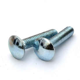 Stainless Steel Carriage Bolt