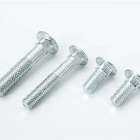 Stainless Steel Coach Bolts