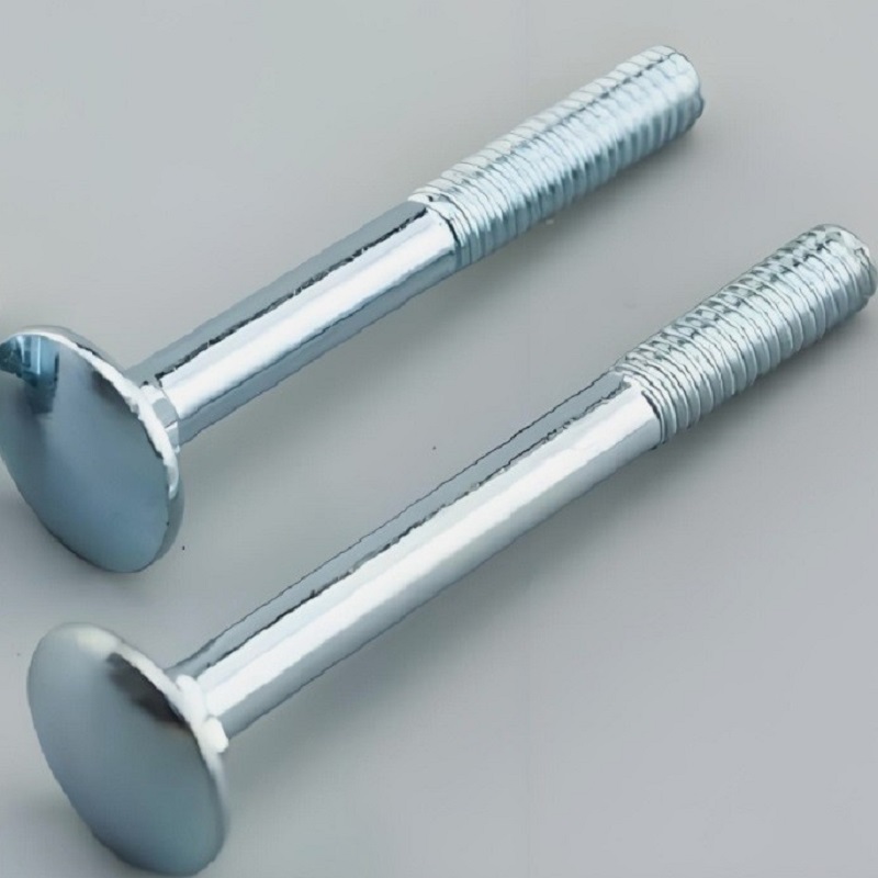 Stainless Steel Carriage Bolt